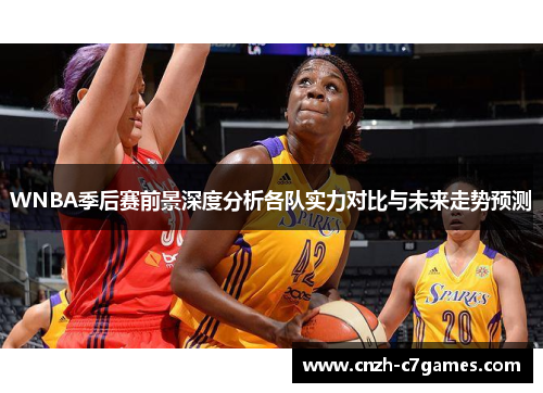 WNBA季后赛前景深度分析各队实力对比与未来走势预测