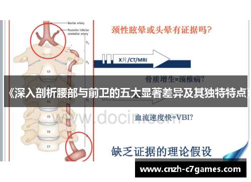 《深入剖析腰部与前卫的五大显著差异及其独特特点》 《深入剖析腰部与前卫的五大显著差异及其独特特点》
