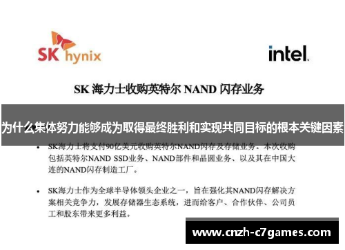 为什么集体努力能够成为取得最终胜利和实现共同目标的根本关键因素