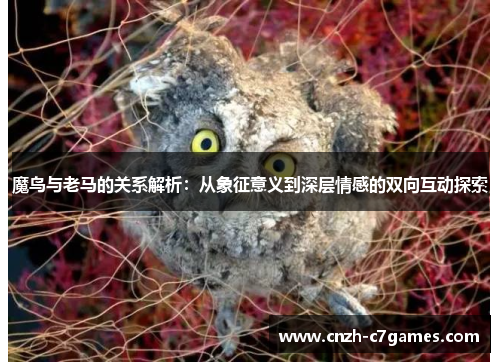 魔鸟与老马的关系解析：从象征意义到深层情感的双向互动探索