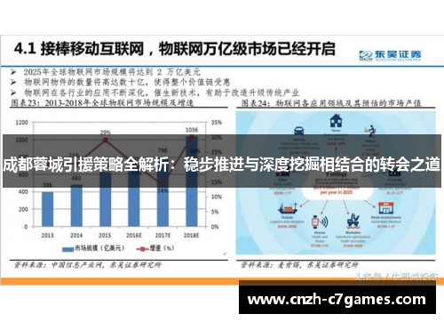 成都蓉城引援策略全解析：稳步推进与深度挖掘相结合的转会之道